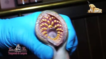TEMPORADA DE LA LAMPREA EN EL RESTAURANTE CASA PACA