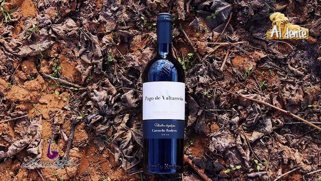 CENA MARIDAJE DE DISTRIBUCIONES MONTEFER Y CON LOS VINOS DE LA BODEGA CARMELO RODERO