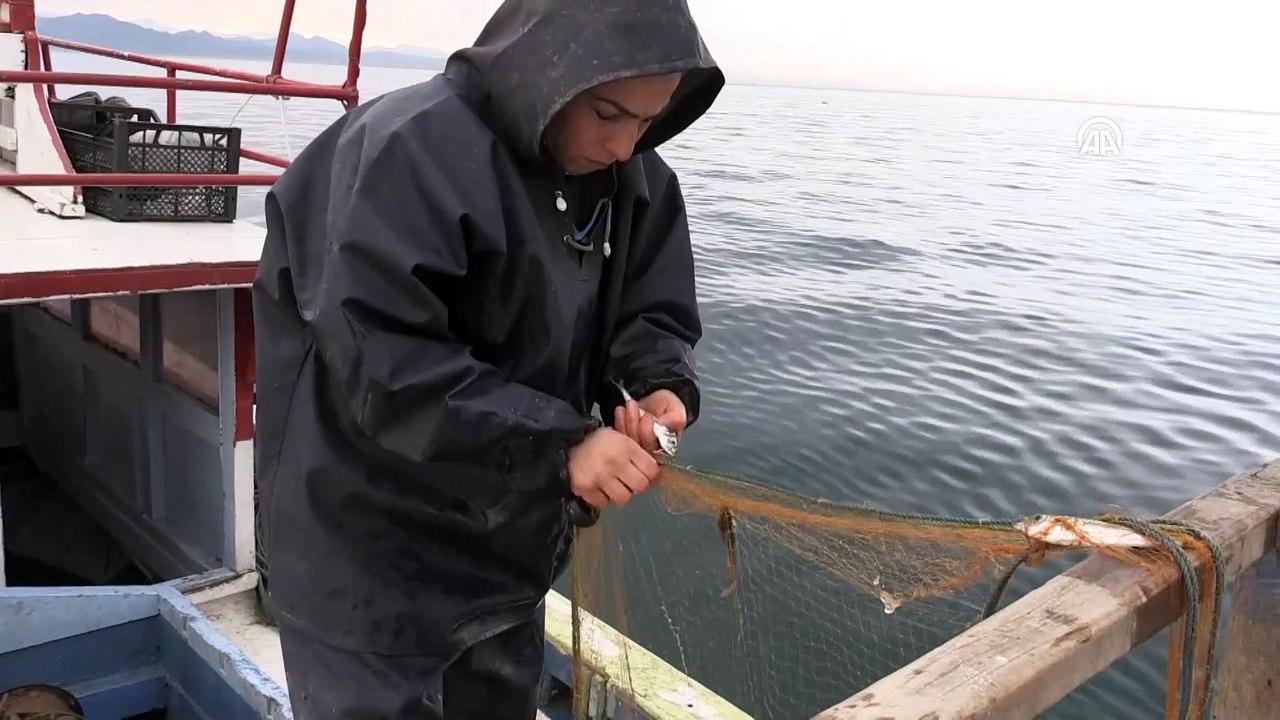 Karadeniz'in kadın balıkçıların zorlu mesaisi - RİZE