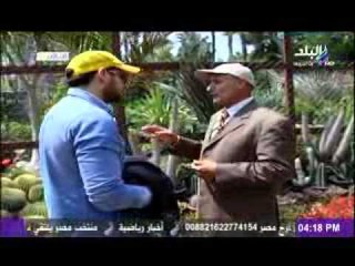 الانواع المختلفة لنبات الصبار