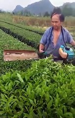 Helal Olsun Adam Bulmuş Çözümü