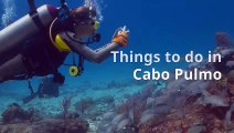 Things to do in Cabo Pulmo
