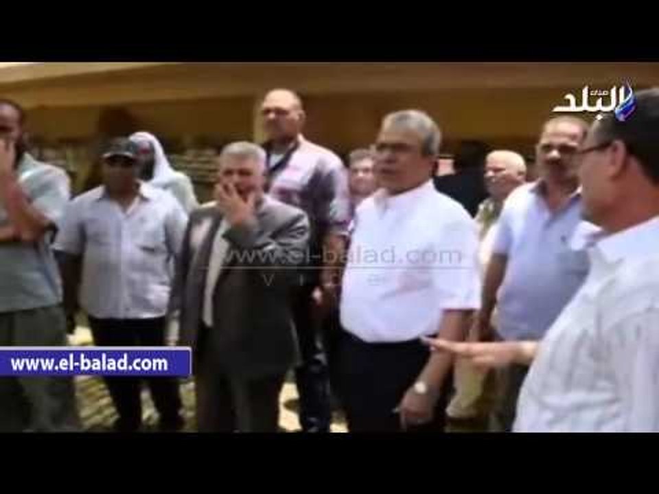 محافظ المنيا يوزع رؤوس ماشية على المستحقين في مغاغة