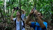 Trekkers have amazing encounter with endangered orangutans in Indonesia