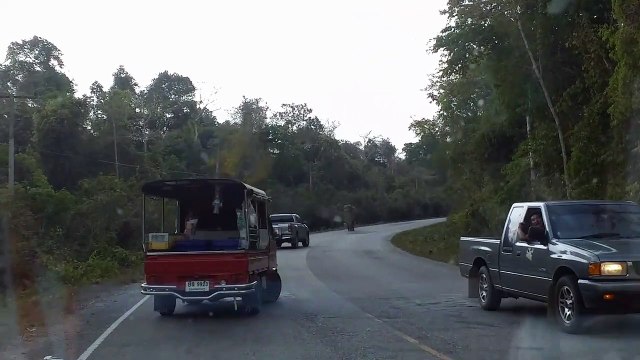 Terrified couple hide as elephant raids their car in Thailand