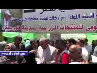 فودة: طور سيناء ستصبح "سلة غلال" المحافظة