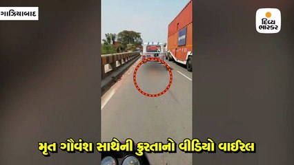 ભાન ભૂલેલાં પોલીસકર્મીઓની અમાનવીયતા, સરકારી ગાડી પાછળ મરેલાં વાછરડાંને બાંધીને ઢસડી ગયાં
