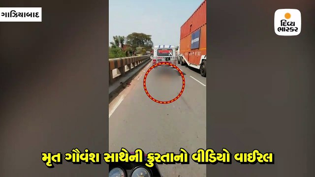 ભાન ભૂલેલાં પોલીસકર્મીઓની અમાનવીયતા, સરકારી ગાડી પાછળ મરેલાં વાછરડાંને બાંધીને ઢસડી ગયાં