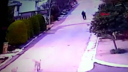 İzmir Başına Sopayla Vurduğu Köpeğin Kör ve Sağır Olmasına Neden Oldu