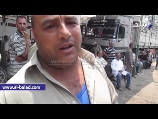 أهالي الدقهلية عقب تسلم رؤوس ماشية: "ربنا يحفظك يا ريس واحنا كلنا فداك بروحنا"