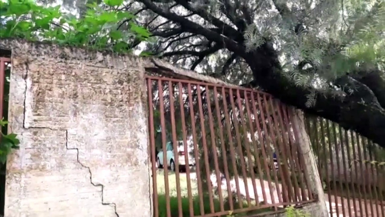 Árvore interdita saída de residência no Bairro Maria Luíza