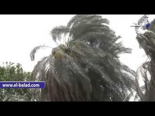 عاصفة ترابية تضرب الفيوم اليوم