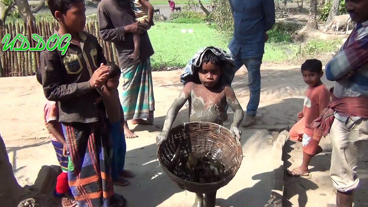 Kids are Catching Fish by Hand From Mud Pond HD