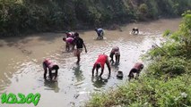 The villagers are Catching Fish by Bear hand in Rural Village Canal