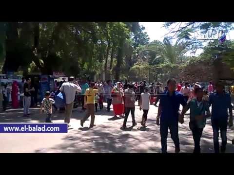 ثاني أيام عيد الفطر 80 الف زائر لحديقة الحيوان ..والحدائق كاملة العدد ..والمراكب الكورنيش