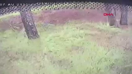 Antalya Kaza Yapan Otobüsteki Dehşet Anları Kamerada