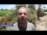 550 فدانا بقرية الشهداء بسوهاج بدون مياه منذ 35 يوما   والأهالي يستغيثون برئيس الوزراء والمحافظ