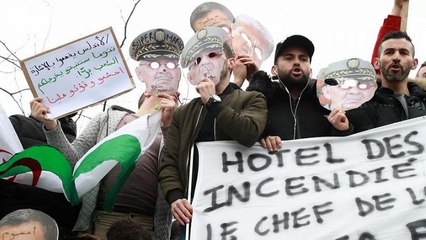 Cezayir'de gösteriler: Ordu protestolara karşı nasıl tavır alıyor?