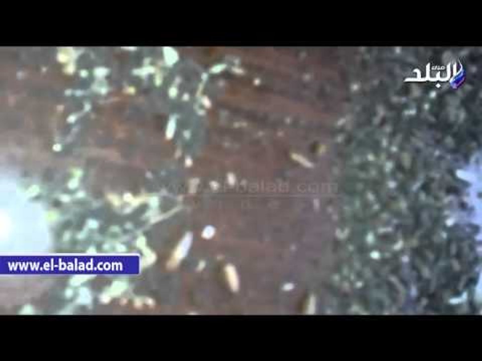 ضبط 5004 طن قمح مصاب بحشرات بأحد اكبر صواميع ال...