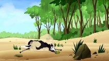 Wild Kratts  Ponies in the Wild!  Kids Videos