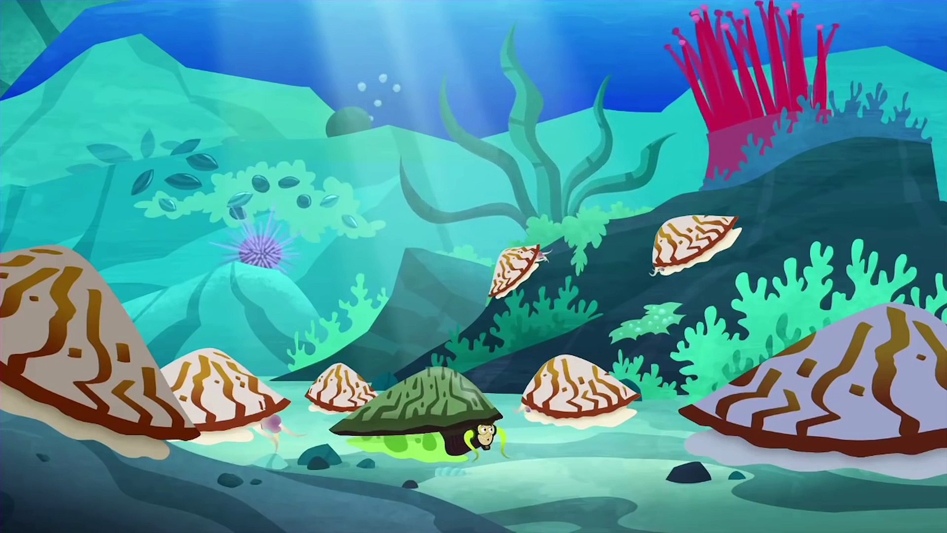 Wild Kratts Creature Powers In The Ocean! Kids Videos Video Dailymotion