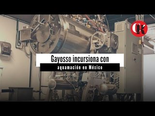Gayosso incursiona con aquamación en México.