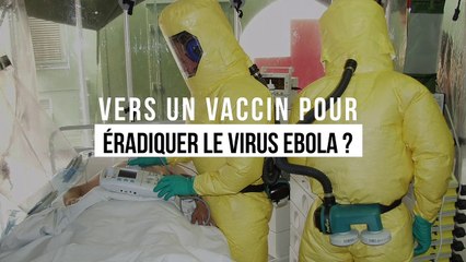 Vers un vaccin pour éradiquer le virus Ebola