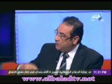 ايهاب الفولى: مشروع النهضة لم يكن من ابتكار الأخوان