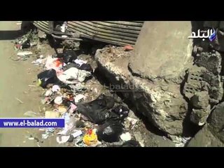 القمامة مآوى للقطط بالدقهلية