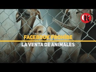 Facebook prohíbe la venta de animales.