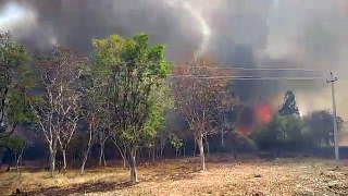 Wild fire in india -2