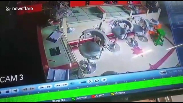 Strange robbery as rat sneaks into jewellery store to steal diamond earstuds