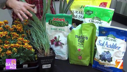 How Does Your Garden Grow?