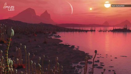 A Passing Star Pushing Two Binaries Closer Can Boost the Possibility for Life