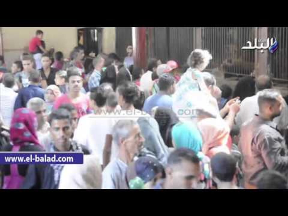 اقبال كثيف على بيت السباع بحديقة الحيوان في ثانى ايام العيد