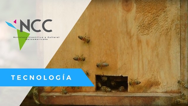 Los pesticidas están acabando con las abejas