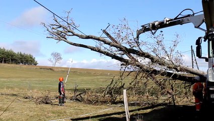 Intervention des élagueurs sur une ligne électrique à Crapone-sur-Arzon