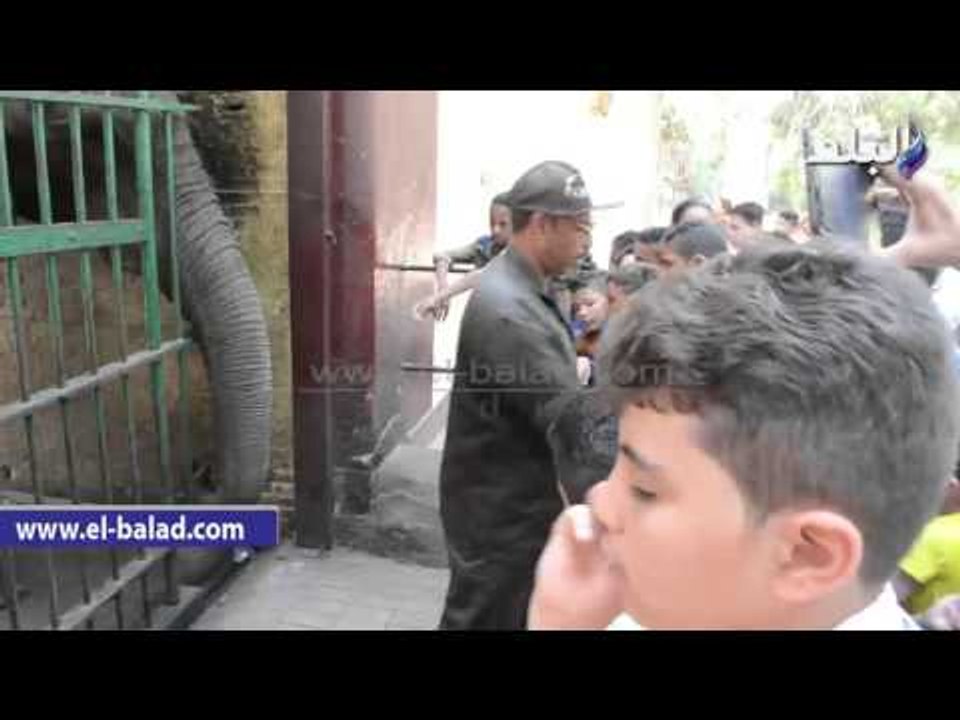 توافد المواطنين على حديقة الحيوان للاحتفال بأول أيام العيد