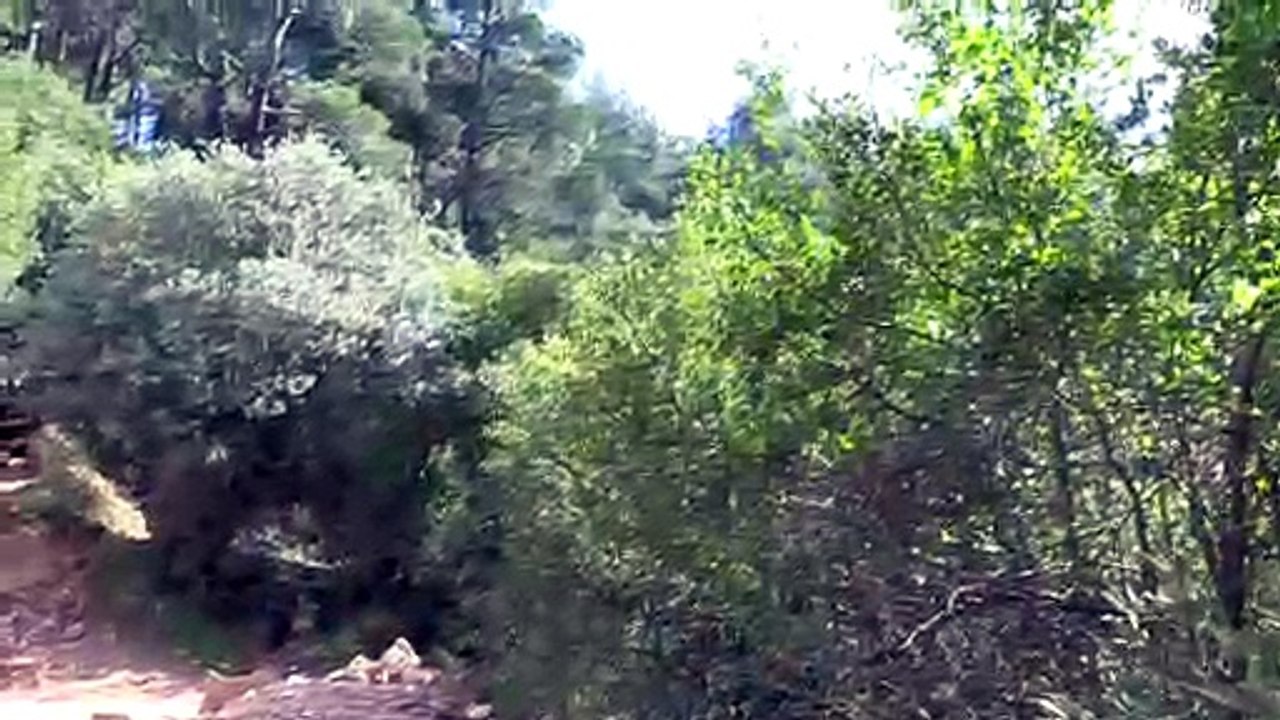 Hitit dönemine ait kaya kabartması tahrip edildi - İZMİR