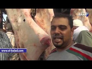 الدقهلاوية أثناء شراء لحوم العيد من منافذها: "اللحمة كتير وهنعيد"