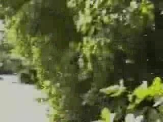 Big Island Properties: Kapoho Vacationland