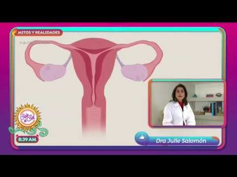 Mitos y Realidades sobre el periodo femenino | Sale el Sol