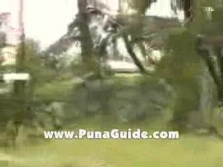 Big Island Properties: Fern Acres Subdivision