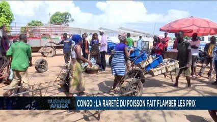 Congo : la rareté du poisson fait flamber les prix