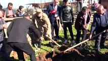 Hatay'da şehitler anısına 90 fidan dikildi