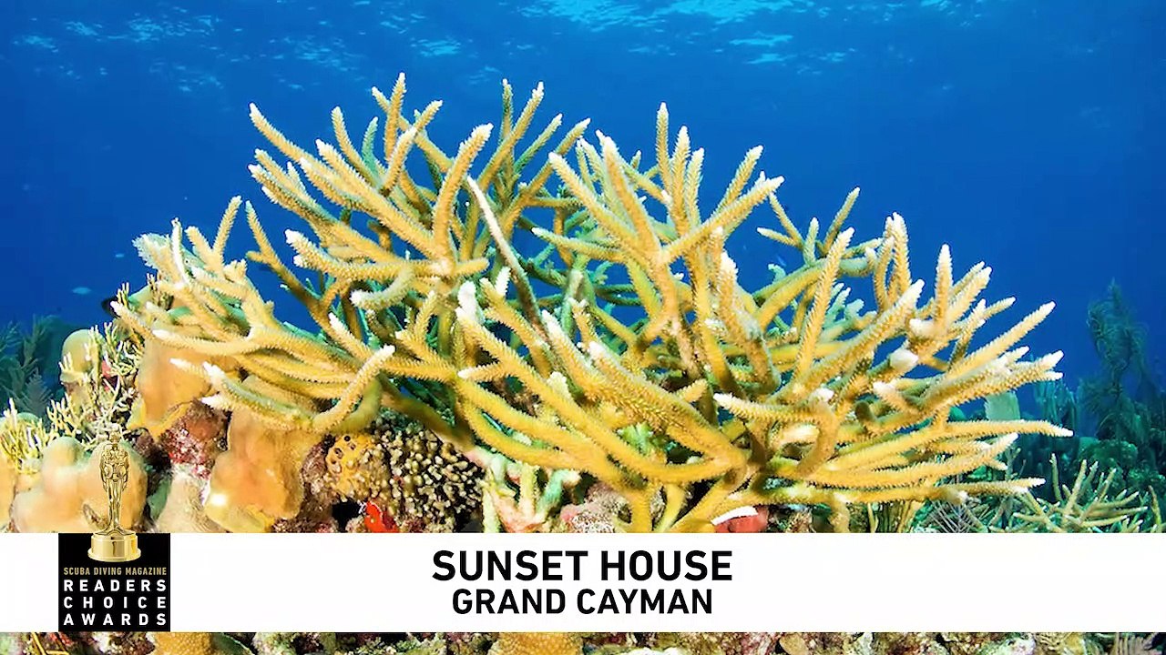 Sunset House: Readers Choice 2019 Winner
