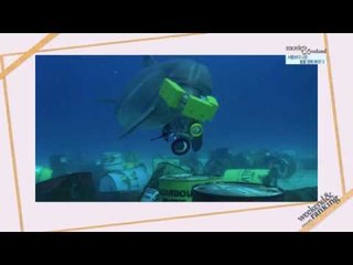 [주말N랭킹] 사람보다 나은 동물영화 BEST3 (full ver.)