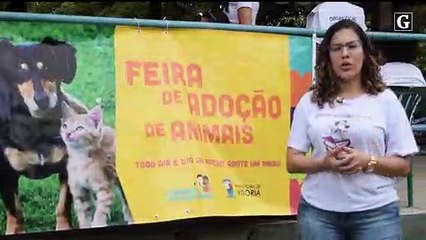 Professora relata sua experiência com bazar e abrigos de animais
