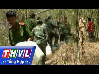 THVL | Cháy lớn tại núi Phú Cường ở An Giang