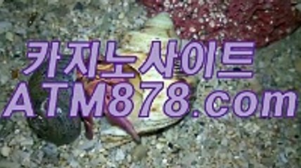 무료온라인바카라◈◈◈▷S T K 4 2 4．ＣΦ Μ◁◈◈◈인터넷카지노사이트추천 무료온라인바카라◈◈◈▷S T K 4 2 4．ＣΦ Μ◁◈◈◈인터넷카지노사이트추천